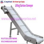Lifting Carton Conveyor